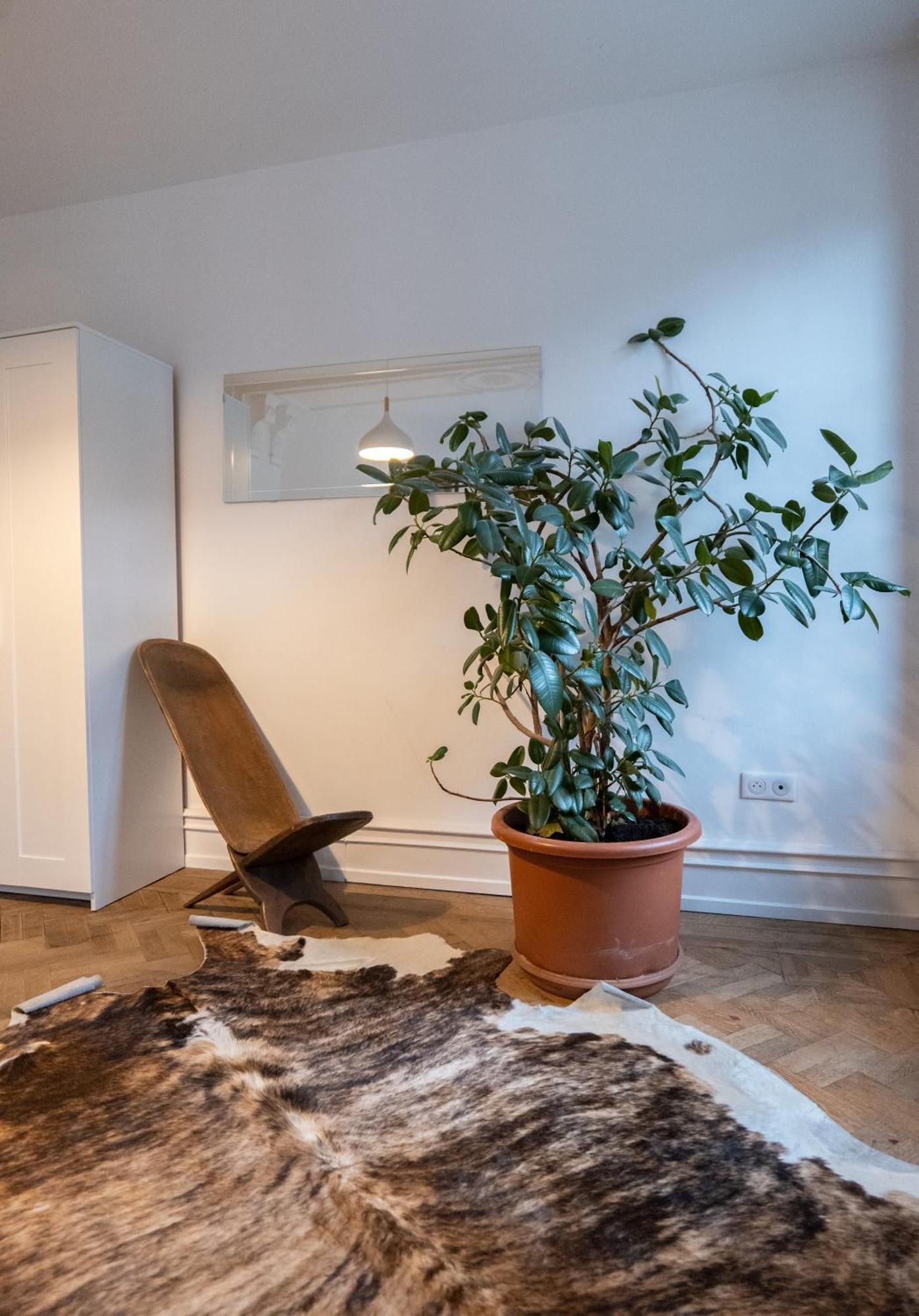 Les Appartements Rue Des Veaux - Quartier Cathedrale Straatsburg Buitenkant foto